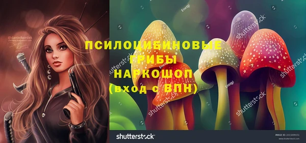 мет Арсеньев