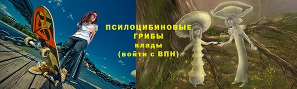 эйфоретик Аркадак